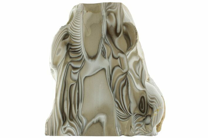 Polished, Striped Flint Stand Up - Poland #228143